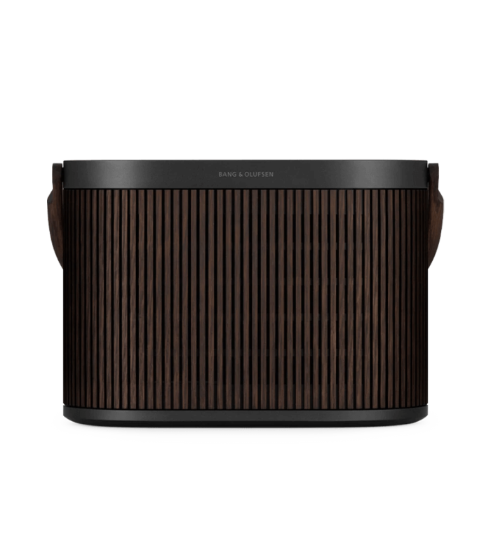 مكبر صوت محمول قوي